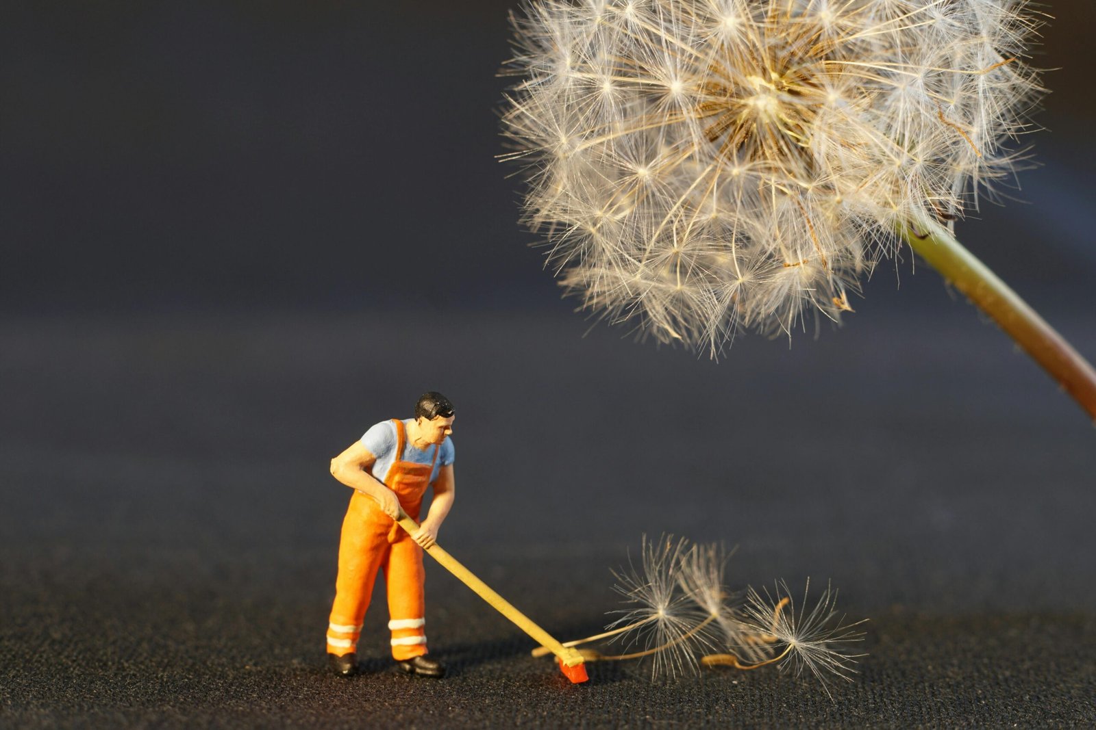 Close-up of a miniature worker figurine cleaning dandelion seeds, combining nature and toy elements.